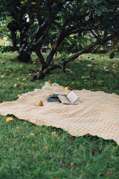 A Blanket With Books in an Apple Orchard