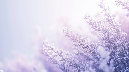 Fototapeta premium Tranquil frosty branches in soft purple hues against a gentle winter light