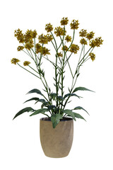 A potted plant with yellow flowers in it on a white background