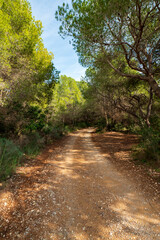 Wanderweg im Naturpark Serra d'Irta bei Alcossebre, Provinz Castellón, Autonome Gemeinschaft Valencia, Spanien