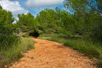 Fototapeta premium Wanderweg im Naturpark Serra d'Irta bei Alcossebre, Provinz Castellón, Autonome Gemeinschaft Valencia, Spanien 