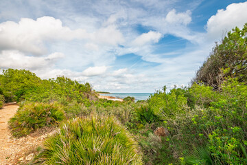 Blick auf das Mittelmeer im Naturpark Serra d'Irta bei Alcossebre, Provinz Castellón, Autonome Gemeinschaft Valencia, Spanien
