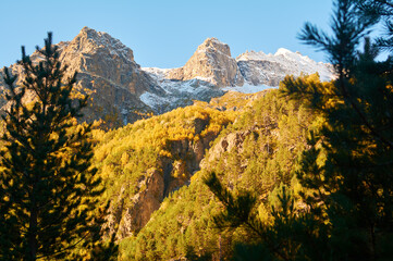 Stunning autumn scenery of famous alp peak Matterhorn capped by snow and yellowed larches on foreground. Swiss Alps, Valais, Switzerland