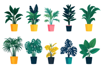 The elegance of potted plants - fresh flowerpots to beautify your space