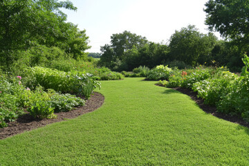 A lush green lawn with a path running through it