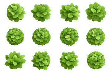 illustration of green bushes, grass and shrubs isolated on a white background