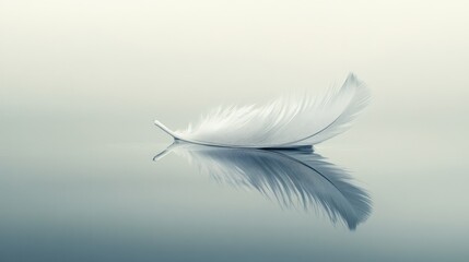 Fototapeta premium A graceful white feather rests on a still water surface, creating a beautiful reflection. The soft colors and tranquility evoke a sense of peace and simplicity, perfect for a calming atmosphere