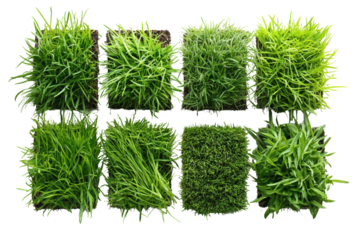 Green landscapes top view of isolated grass bushes