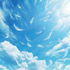 White Feathers Drifting on a Sunny Sky with Fluffy Clouds