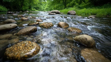 Foto op Plexiglas Crystal-clear river flowing over smooth stones in a lush green forest, viewed from a low perspective near the watera??s edge. © Faisal Ai