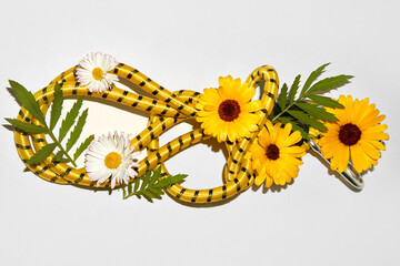 Still life. Yellow rope, sunflowers and daisies on white background