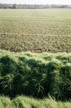 Autumn fields in burgundy, France