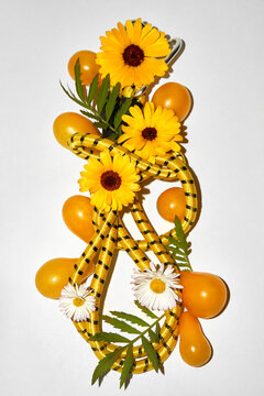 Still life. Yellow rope, flowers and cherry tomatoes on gray backdrop
