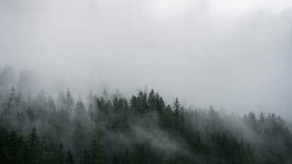 Clouds over mountain trees