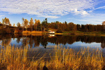 "&Eacute;clats d'Automne : La Magie des Vosges"