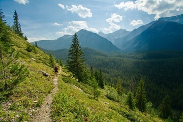 Fototapeta premium landscape in the mountains
