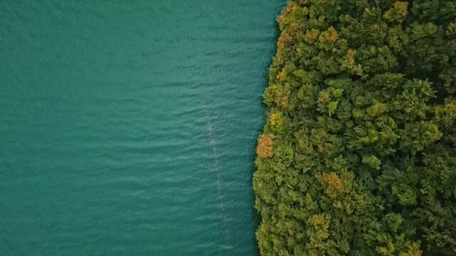 top view of mountain lake and tops of pine trees, dramatic view. empty space for insertion. Video shot on a 4K drone