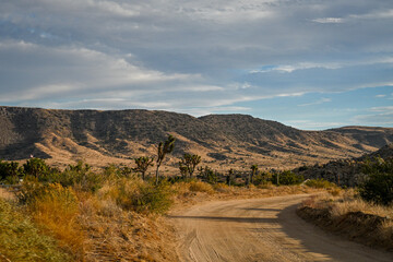 Discover the Beauty of Joshua Tree National Park Today