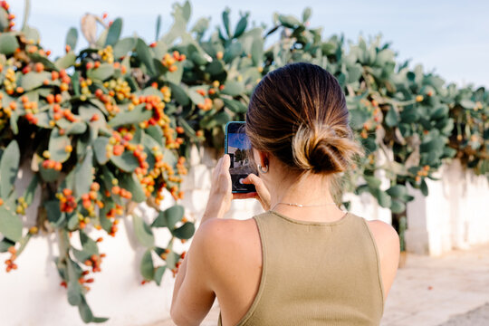 Vacationer uses a mobile phone to take photos of a nopal in a masseria