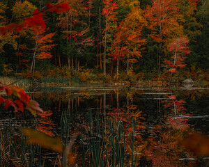 autumn reflections on pond