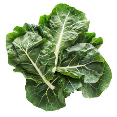Fresh, vibrant green collard greens leaves arranged attractively.