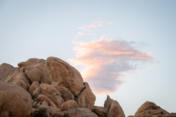 Evening Glow: Sunset at Joshua Tree National Park