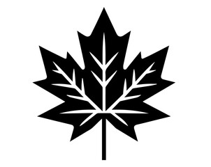 artistic black vector of a maple leaf design