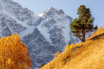 Autumn landscape with snowy mountain and trees

