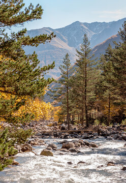 Mountain river flowing through forest with autumn colors

