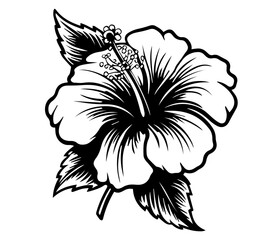 artistic black and white floral sketches featuring different flower arrangements