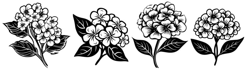 artistic black and white floral sketches featuring different flower arrangements