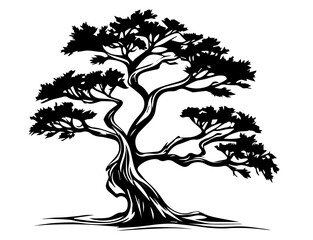 artistic sketch of different bonsai trees in black and white minimalist style