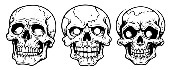 Fototapeta premium set of skull designs with intricate details in monochrome black vector art