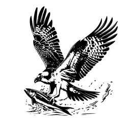 detailed eagle with fish in talons in monochrome black vector art