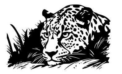 detailed leopard portrait with jungle leaves black vector art
