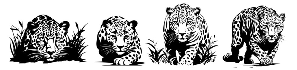 detailed leopard portrait with jungle leaves black vector art
