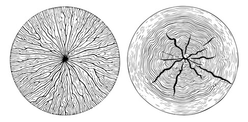 Obraz premium wood slices with growth rings in monochrome sketch black vector art