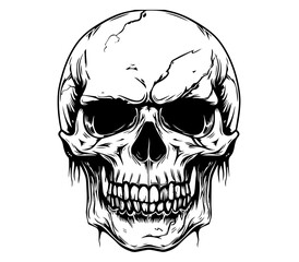 realistic human skull design with cracks and shading