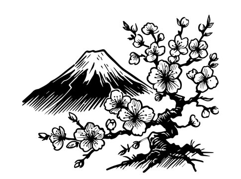 japanese landscape with sakura branches and mountain sketch black vector