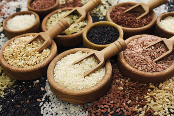 Colorful mix of rice varieties: red and brown, white and wild, black and parboiled, basmati and jasmine. Selective focus, shallow DOF