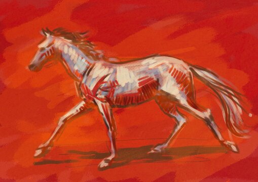 White horse on red, running fast