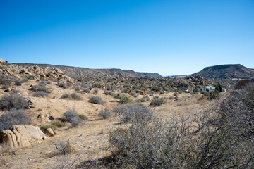 Discover the Beauty of Joshua Tree National Park Today
