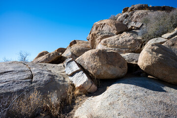 Discover the Beauty of Joshua Tree National Park Today