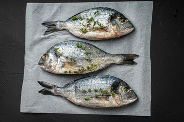 Three raw fresh fish dorado on baking paper on a black background. View from above.
