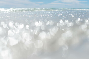 Peaceful Florida Shoreline