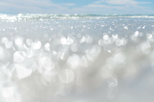 Peaceful Florida Shoreline