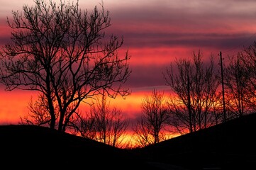 Naklejka premium Landscape of mountain and tree at sunset in Switzerland.