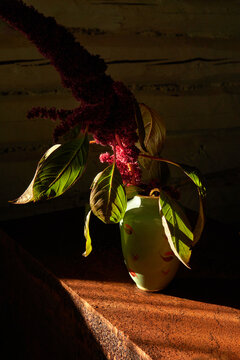 A vibrant bouquet of purple flowers in vase illuminated by sunlight