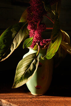 A vibrant bouquet of purple flowers in vase illuminated by sunlight