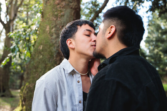 Gay couple kissing romantically in the park